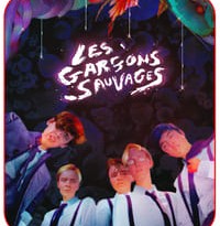 the wild boys torrent descargar o ver pelicula online 6 the wild boys torrent descargar o ver pelicula online 6