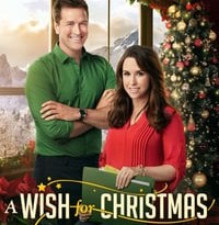 a wish for christmas torrent descargar o ver pelicula online 2