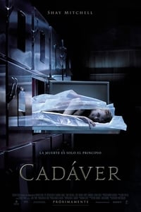 cadaver torrent descargar o ver pelicula online 1