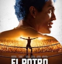 el potro torrent descargar o ver pelicula online 5 el potro torrent descargar o ver pelicula online 5