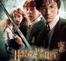 harry potter y la cámara secreta torrent descargar o ver pelicula online 6