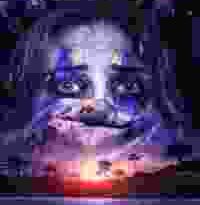 land of smiles torrent descargar o ver pelicula online 3