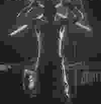 the trade torrent descargar o ver pelicula online 1