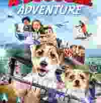 a doggone adventure torrent descargar o ver pelicula online 10 a doggone adventure torrent descargar o ver pelicula online 10