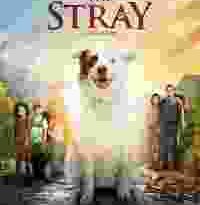 the stray torrent descargar o ver pelicula online 9