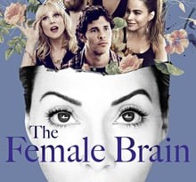 the female brain torrent descargar o ver pelicula online 2