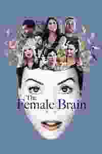 the female brain torrent descargar o ver pelicula online 1