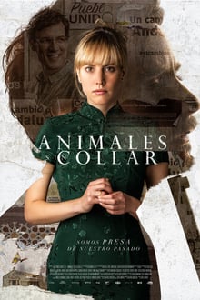 animales sin collar torrent descargar o ver pelicula online 1 animales sin collar torrent descargar o ver pelicula online 1