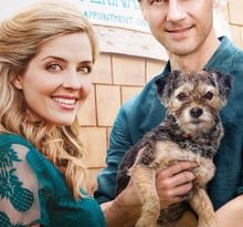 comer, jugar, amar torrent descargar o ver pelicula online 8