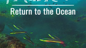 pacíficum torrent descargar o ver pelicula online 1