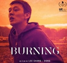 burning torrent descargar o ver pelicula online 10