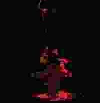 gotti torrent descargar o ver pelicula online 4