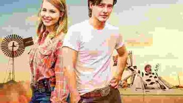 spin out torrent descargar o ver pelicula online 5