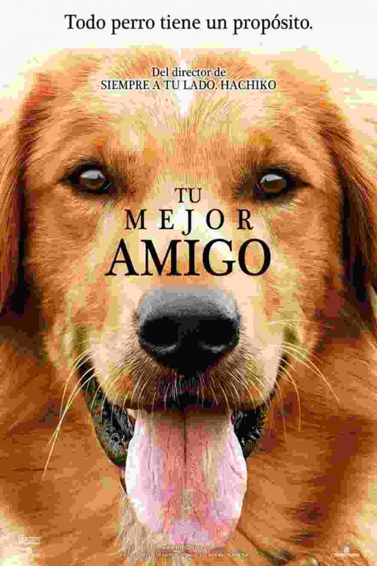 tu mejor amigo torrent descargar o ver pelicula online 1