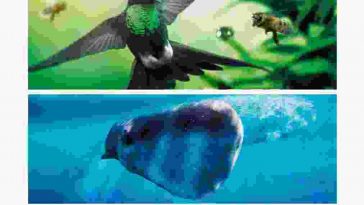 earth: one amazing day torrent descargar o ver pelicula online 9