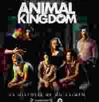 animal kingdom torrent descargar o ver pelicula online 8 animal kingdom torrent descargar o ver pelicula online 8