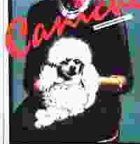 caniche torrent descargar o ver pelicula online 4