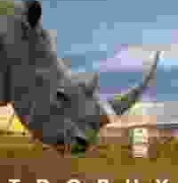 trophy torrent descargar o ver pelicula online 4