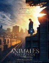 animales fantásticos y dónde encontrarlos torrent descargar o ver pelicula online 2