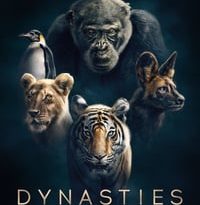 dinastías 1×01 torrent descargar o ver serie online 5