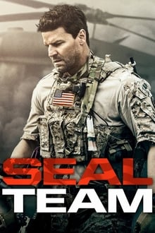 seal team 2×11 torrent descargar o ver serie online 1
