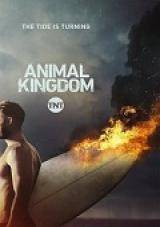 animal kingdom - 1×02 torrent descargar o ver serie online 1