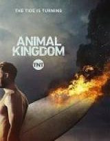 animal kingdom - 1×04 torrent descargar o ver serie online 5