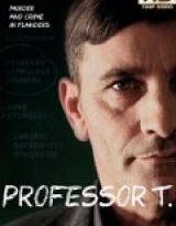 profesor t - 2×04 torrent descargar o ver serie online 2 profesor t - 2×04 torrent descargar o ver serie online 2