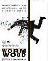 wormwood - 1×01 torrent descargar o ver serie online 6