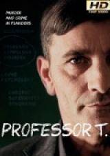 profesor t - 2×09 torrent descargar o ver serie online 1