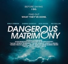 un matrimonio peligroso torrent descargar o ver pelicula online 4