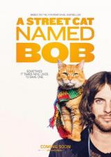un gato callejero llamado bob torrent descargar o ver pelicula online 1