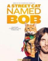 un gato callejero llamado bob torrent descargar o ver pelicula online 2