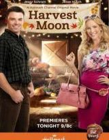 un cambio de aires torrent descargar o ver pelicula online 2