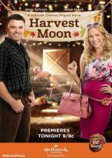 un cambio de aires torrent descargar o ver pelicula online 2