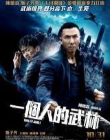 kung fu jungle torrent descargar o ver pelicula online 3 kung fu jungle torrent descargar o ver pelicula online 3