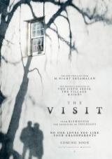 la visita torrent descargar o ver pelicula online 1