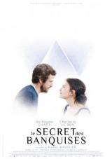 el secreto del hielo torrent descargar o ver pelicula online 3