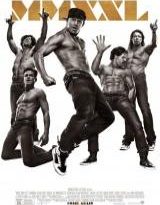 magic mike xxl torrent descargar o ver pelicula online 3