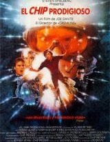el chip prodigioso torrent descargar o ver pelicula online 8