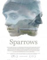 sparrows torrent descargar o ver pelicula online 2