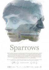 sparrows torrent descargar o ver pelicula online 1