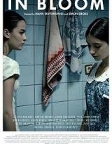 in bloom torrent descargar o ver pelicula online 6