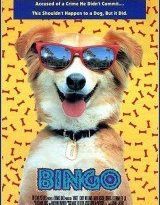 bingo torrent descargar o ver pelicula online 9
