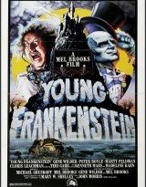 el jovencito frankenstein torrent descargar o ver pelicula online 11