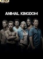 animal kingdom x10 torrent descargar o ver serie online 2
