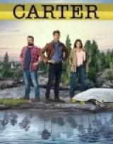carter x2 torrent descargar o ver serie online 2