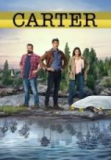 carter x2 torrent descargar o ver serie online 2