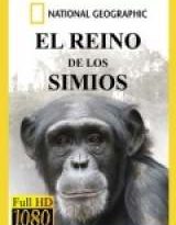el reino de los simios capitulos 0 al 2 torrent descargar o ver serie online 5