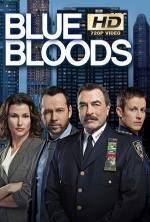 blue bloods 8×22 torrent descargar o ver serie online 2